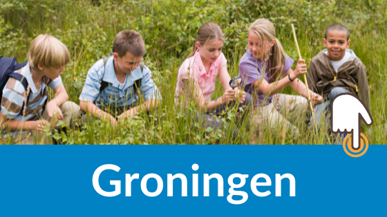 provincie groningen